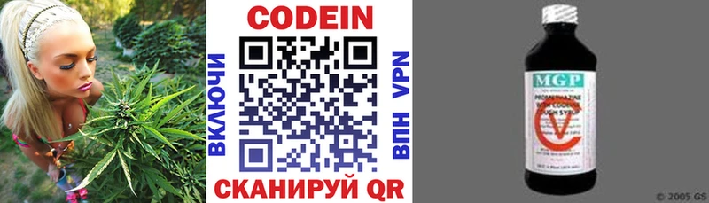 Купить закладки  Тайшет  Codein напиток Lean (лин) 