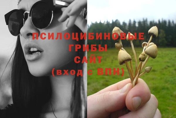 дурь Балахна