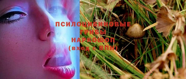 spice Баксан