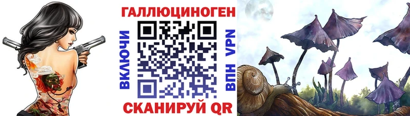 Купить закладки  Тайшет  Псилоцибиновые грибы Cubensis 
